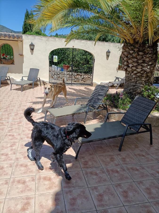 Bed & Breakfast Lobos *