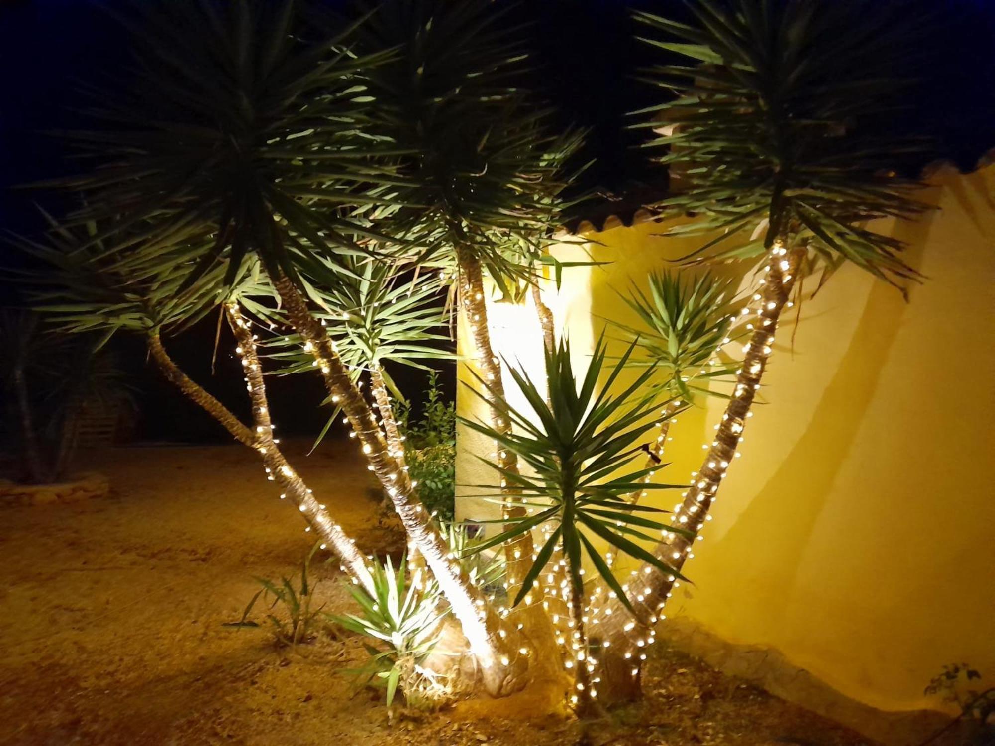 Bed and breakfast Lobos