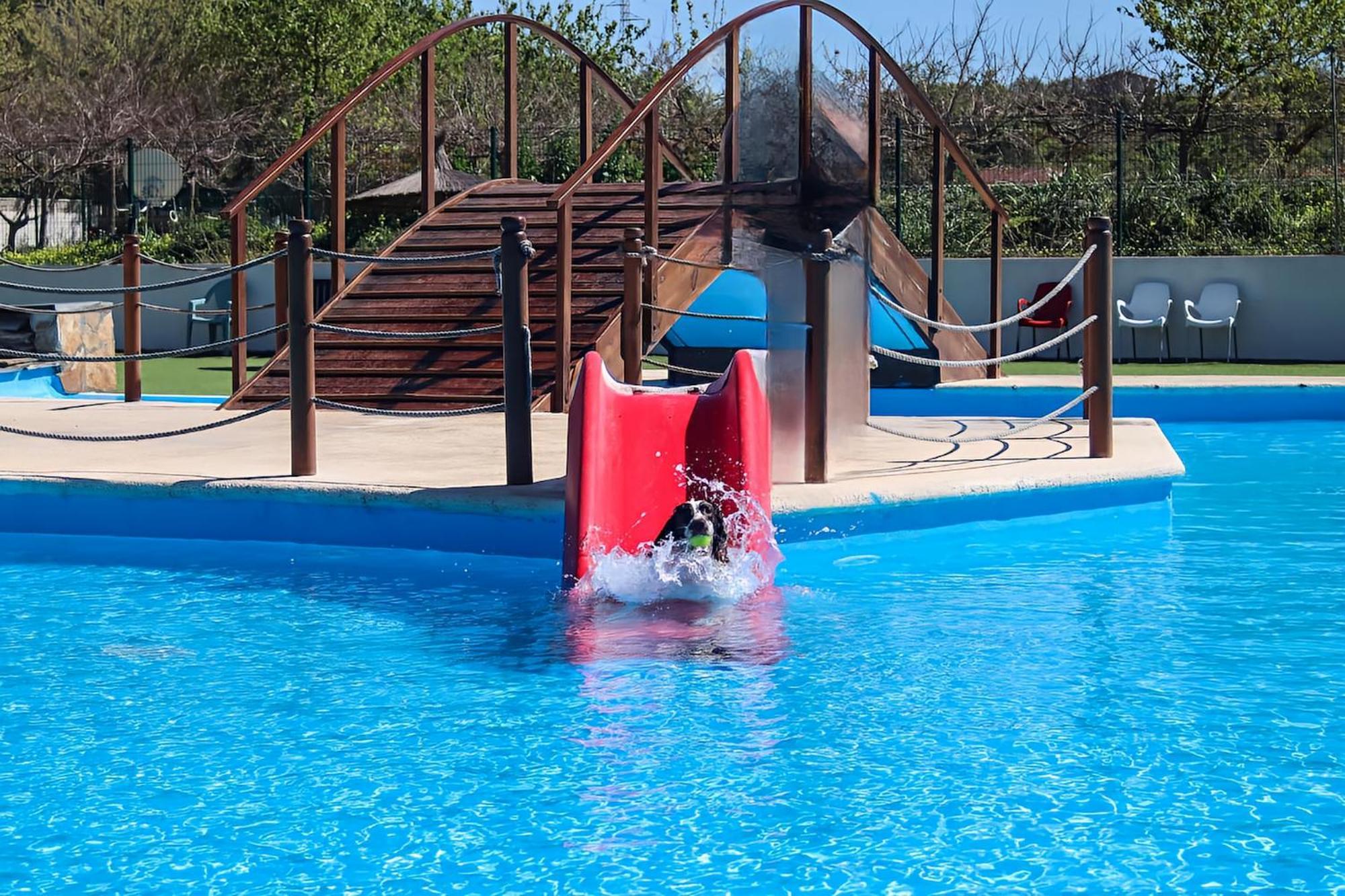 Bed & Breakfast Lobos